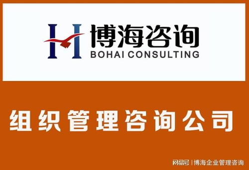 蘇州組織結構優化咨詢公司